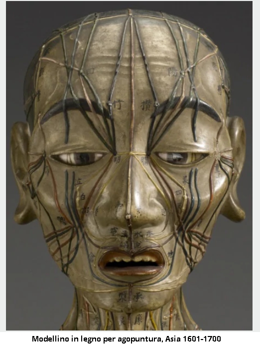 Modellino Agopuntura Asia 1601-1700